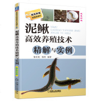 泥鳅高效养殖技术精解与实例(双色印刷) 泥鳅养殖技术大全书籍 农业科学水产养殖技术书籍 养泥鳅的教程 养泥鳅场鱼塘入