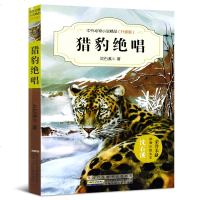 猎豹绝唱(升级版)/中外动物小说精品 沈石溪经典动物小说系列 7-10-14岁中小学课外阅读书籍儿童文学教辅读物 正