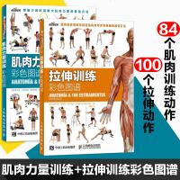 正版 肌肉力量训练彩色图谱+拉伸训练彩色图谱 科学运动健身全套2册 拉伸训练书 体育保健学 健身书籍练肌肉 肌肉训练