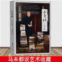 正版小文65 马未都著 收藏文化艺术建筑文学社会等方面马未都说收藏马说陶瓷明清笔筒中国古代窗马未都说坐具的文明