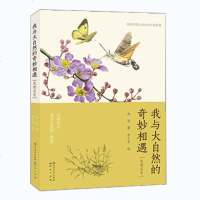 我与大自然的奇妙相遇 发现昆虫 班班有读 第十三期推荐阅读书目 走进神奇的昆虫世界昆虫科普读物大自然昆虫认知小学课外