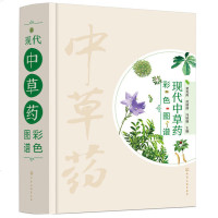 现代中草药彩色图谱 医学卫生药学 中草药 中药辞典 中医药工具书 常用中草药功效讲解 药用植物 药材 中国中医医学卫
