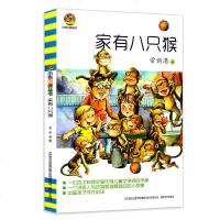 家有八只猴 常新港动物小说 小布老虎丛书 8-9-12岁儿童文学动物故事成长小说 小学语文课外阅读推荐书目 三四五六