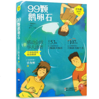 99颗鹅卵石 悬念时空系列 许友彬著 红蜻蜓暖爱长篇小说 青少年儿童课外阅读大全书籍 小学生三四五六年级儿童文学图画