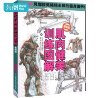 肌肉健美训练图解 男性肌肉训练健美图详解 肌肉力量训练健身书籍教程私人教练培训教材体能训练书籍强肌动作健身书籍大全运