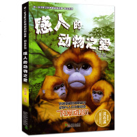 正版 你一定没听过的神秘动物故事·励志系列:感人的动物之爱 沈石溪动物小说 三四五六年级小学生儿童文学课外书籍