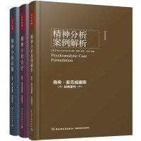 正版 精神分析案例解析+治疗实践指导+诊断理解人格结构 全套三册麦克威廉斯 弗洛伊德梦的解析 抑郁症 社会心理学