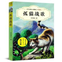 孤猫战歌 中外动物小说精品(升级版)沈石溪经典动物小说系列 7-10-14岁儿童文学读物三四五年级中小学生课外阅读书