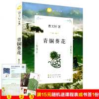 青铜葵花 曹文轩文集 草房子作者曹文轩作品 9-12-14岁儿童文学故事书 三四五六年级青少年课外书籍小学生成长小说