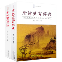 唐诗鉴赏词典+宋词鉴赏辞典中国古诗词大全集中学生语文学习文学鉴赏工具书籍唐诗鉴赏文学古诗词鉴赏 唐诗宋词鉴赏辞典套装