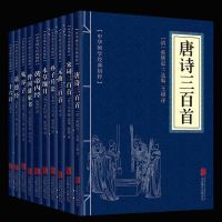 套装10册] 中华国学经典精粹:宋词三百首 阅读本 中国古诗词 文白对照原文注解译文中国古代诗词 经典启蒙唐诗宋词