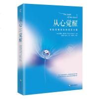 正版 从心觉醒 励志小说 文学小说 心灵鸡汤 热爱生活 珍爱生命 净化心灵 审视自己内心 探索灵魂的终*归依