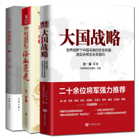 [套装3册] 苦难辉煌+浴血荣光+大国战略 金一南 著 中国高层智囊 著名军事专家金一南作品 政治历史读物