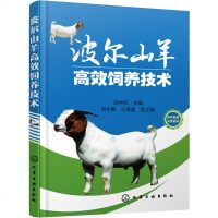 波尔山羊高效饲养技术 波尔山羊无公害养殖技术大全书籍 波尔山羊疾病防治技术 波尔山羊科学饲养技术教程书籍养殖场管理