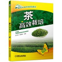 茶高效栽培 茶叶树栽培种植技术大全 科学种植茶叶树 茶园茶树病虫害防治 茶园土壤及水肥管理 茶树修剪剪枝技术书籍