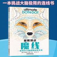 极限挑战 魔线 脑力记忆力逻辑思维培养左右脑开发智力找不同走迷宫连线书快速高效提升脑力逻辑思维能力大脑逻辑思维