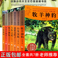沈石溪动物小说第六季7本大鱼之道+白象家族+牧羊神豹+虎娃金叶子+导盲犬迪克+虎娃金叶子+五只小狼7-10-12-