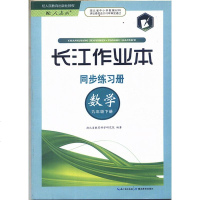 2019使用 长江作业本 九年级数学 下册 9九下人教版数学课本下册同步练习册 长江作业本同步练习册数学 九年级上册