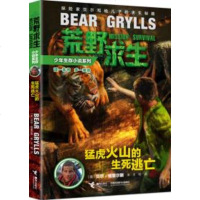 猛虎火山的生死逃亡荒野求生少年生存小说系列贝尔格里尔斯写给孩子的书野外求生秘籍儿童求生神秘探地冒小说中小学生适读