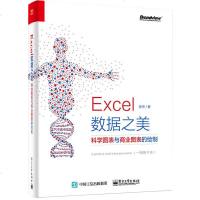 Excel数据之美 科学图表与商业图表的绘制 Excel图表绘制方法教程 excel风格配色方案大全 excel20