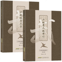 少林武术 书籍 全2册少林武术秘笈系列 少林技击正宗精功七十二艺内功真经鹰爪铁布衫 少林拳武学秘籍集注指要少林武功内