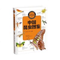 正版 中国之美 自然生态图鉴---中国昆虫图鉴 昆虫 全世界80种昆虫的彩色图鉴 自然科学 生物科学中国昆虫生态