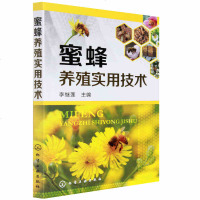 正版 蜜蜂养殖实用技术 蜜蜂养殖技术大全书养蜂技术书籍 科学饲养蜜蜂教程书籍 蜜蜂繁殖 蜂病防治技术书养蜂指南