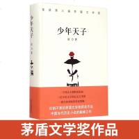 正版 少年天子精装版 长销不衰的茅盾文学奖获奖作品 中国当代历史小说书籍 明亡清兴三部曲倾城倾国 凌力 北京十月