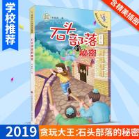 石头部落的秘密 贪玩大王李奔奔系列 奇幻阿姨李岫青 著 6-12岁青少年儿童暑假阅读儿童文学书籍 漫画连环画文学书籍