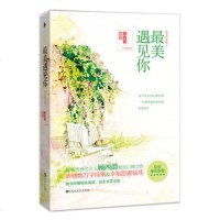  遇见你 顾西爵 新增甜蜜续集及番外 暖萌青春代言人口碑之作 辛夷坞推荐 青春文学小说