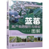 蓝莓高产栽培整形与修剪图解 蓝莓栽培种植技术大全书籍 图说种植蓝莓教程书 科学高效高产量蓝莓 规模种植管理手册