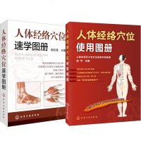 [全2册]人体经络穴位使用图册+人体经络穴位速学图册 人体经络穴位使用图册 中医经络穴位图解按摩书 人体穴位自然疗法