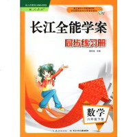 2019使用 长江全能学案 6六年级数学 下册 小学六年级数学课本人教版同步练习册 小学课堂作业语文二年级上 湖北教