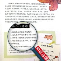 [精装典藏]正版   法布尔昆虫记 第五册 绿蝇麻蝇天牛原著小学生青少年版课外书必读三四五六年级课外阅读书籍儿童文学