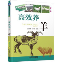 正版 养羊 养殖致富直通车 养羊技术羊养殖科学养羊技术大全畜禽养殖饲料配方手册系列-羊饲料配方手册