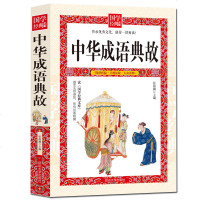 国学典故 中华成语典故大全集国学精粹知识读物课外书籍基础知识国学经典中华典故大全集成语典故民间文学历史知识文化修养书