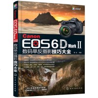 正版佳能Canon EOS 6D Mark Ⅱ数码单反摄影技巧大全 雷波6d2数码单反摄影从入到精通 佳能6D2相