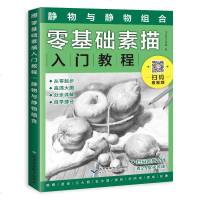 正版 零基础素描入教程静物与静物组合 飞乐鸟 素描书入自学零基础手绘本 素描静物临摹书 结构画册 素描静物照片书