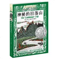 正版 神秘的日落山 长青藤大奖小说书系第七辑 6-9-12-15岁中小学生二三四五年级课外阅读书籍青少年儿童文学故事