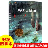 国际大奖小说·成长版——野花的脚印 根据真人经历改编,如野花般朴实但顽强,头像被印在一美元硬币上的印第安女性的传奇故