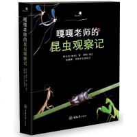 嘎嘎老师的昆虫观察记 林义祥 重庆大学出版社 昆虫物种资源库 青少年学生观察昆虫入读物科普读物 昆虫图片书关于昆