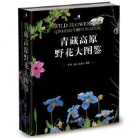 正版新书 青藏高原野花大图鉴(精装) 牛洋 重庆大学出版社 赏植物和壮美的自然景观 青藏高原野花的识别图鉴 植物花卉