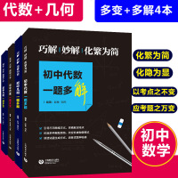 4本 图变量变式变题根不变初中代数+初中几何一题多变+巧解妙解化繁为简初中代数+初中几何一题多解中考代数几何总复