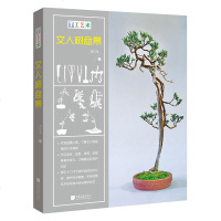 手工艺术文人树盆景 盆景教材盆景书 园林植物学园艺师书花艺书 树木盆景教材园艺书籍室内盆栽花卉养殖大全杂木盆景