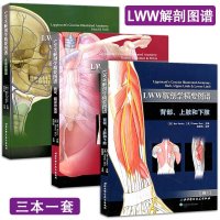 LWW解剖学精要图谱全套3册 胸部腹部和盆部头部和颈部背部上肢下肢 人体解剖学图谱解剖彩色学图谱奈特图谱 解剖学教材