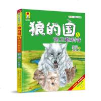 正版 狼的国:4:保卫雅利安 凌岚 书店 儿童小说书籍