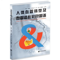 人体血管铸型及血管造影彩色图谱人体血管解剖图人体全身血管 血管彩色学图谱 临床血管造影操作规范书籍 脉管铸型造