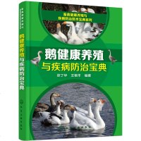 畜禽健康养殖与疾病防治技术宝典系列--鹅健康养殖与疾病防治宝典 科学养鹅专业技术指导书籍 畜牧养殖专业指导书籍