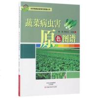 蔬菜病虫害原色图谱 农作物病虫害原色图谱丛书 绿叶菜类蔬菜病虫害诊断与防治原色图谱 蔬菜种植技术病害治疗蔬菜图谱