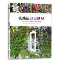 商城正版 绿手指园艺铁线莲达人系列 铁线莲完美搭配 及川洋磨 湖北科学技术出版社